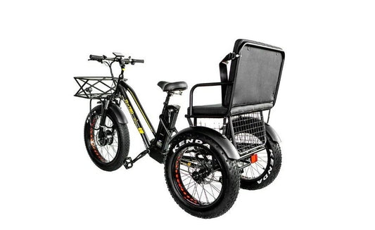 🔥Fat Tire Electric Trike Rickshaw 750W 48V 21AH Bike Tricycle 3 Wheel🔥