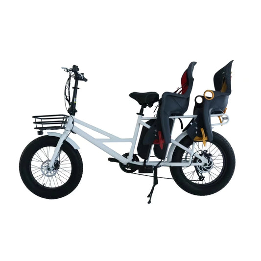 20 inch, wide tires, cargo electric bike can carry baby