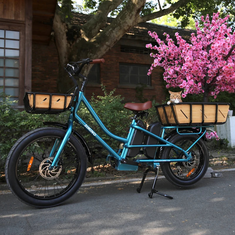 2wheel powerful 48v 750w 30ah dual battery long range customized food and cargo delivery ebike