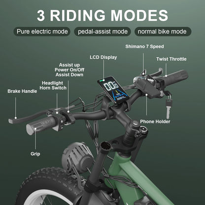 Electric Hybrid Ebike for Adults