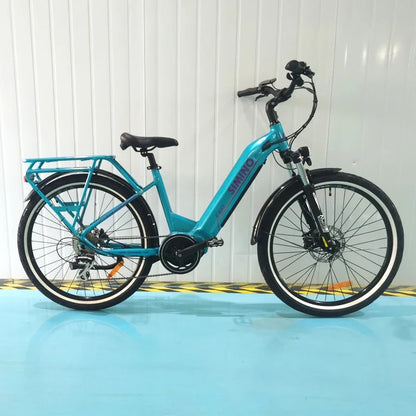 Urban Cargo Ebike