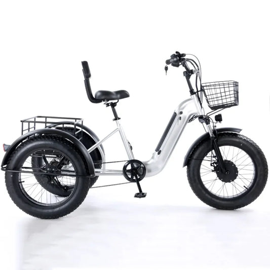 3 wheel folding electric cargo ebike with basket 7-speed 48V 2000W