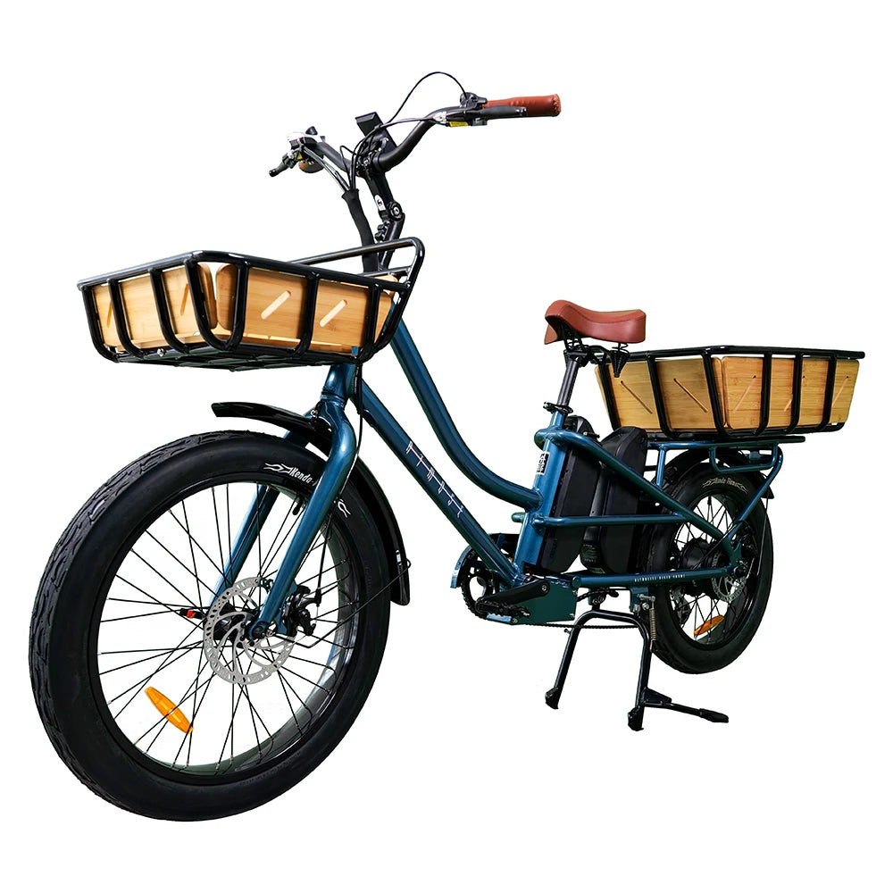 2wheel powerful 48v 750w 30ah dual battery long range customized food and cargo delivery ebike